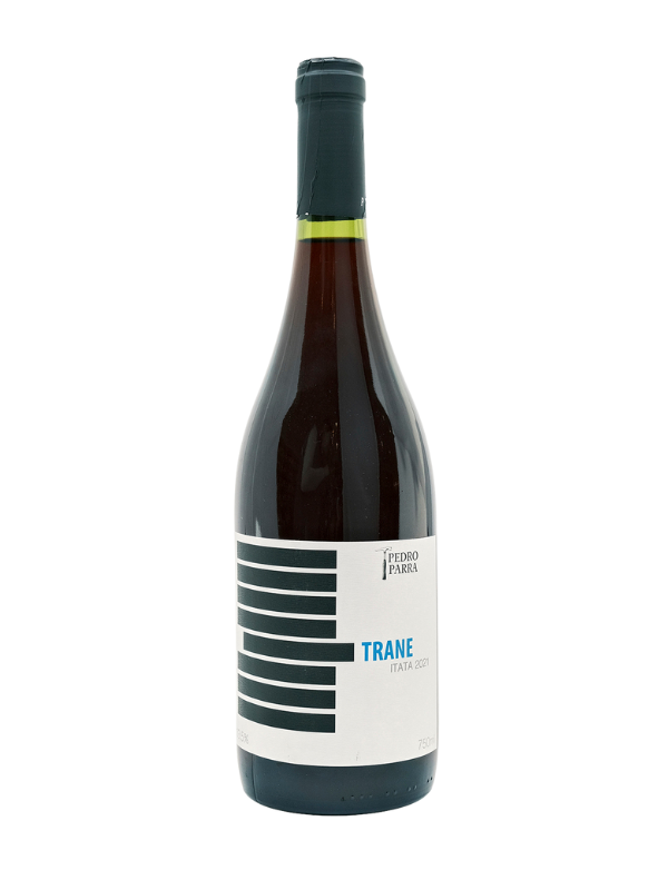 2021 Pedro Parra "Trane" Cinsault (Itata, CL) 2R