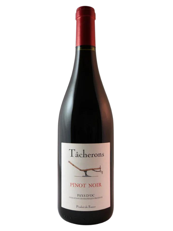 2021 Tacherons "Haute Vallee" Pinot Noir (Languedoc-Roussillon, FR) 2R