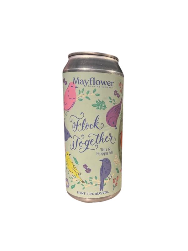 Mayflower Brewing Company "Flock Together" Tart & Hoppy Ale (Plymouth, MA)
