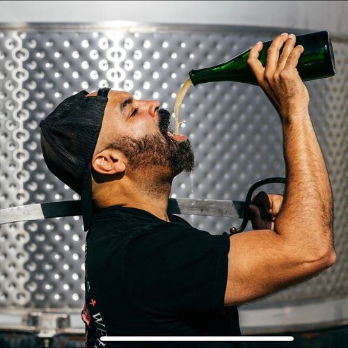 Bodkin Wines