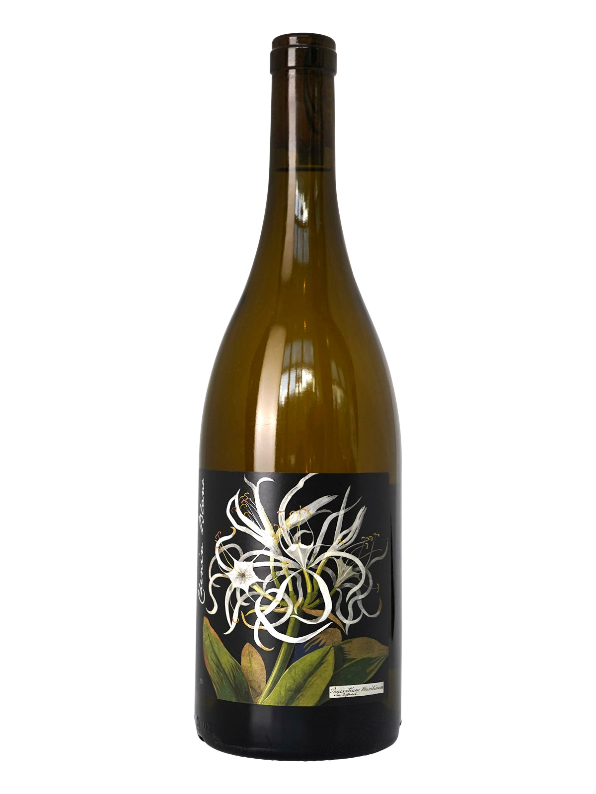 *4W* 2022 Botanica "Mary Delany" Chenin Blanc (Western Cape, SA)