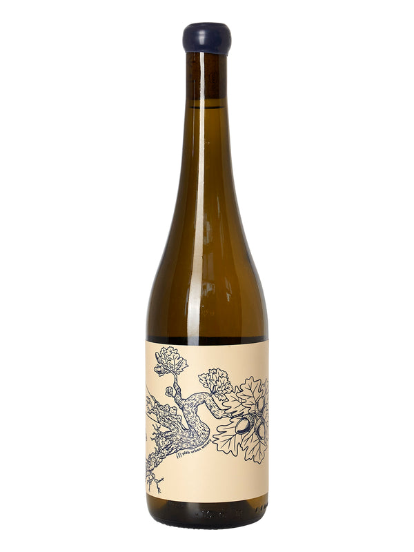 2018 Pleb Urban Winery "Tete" Seyval Blanc (Ashville, NC) 5W